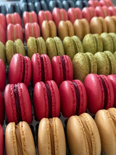 WhatsApp Image 2026-04-30 at 14.29.00.jpeg