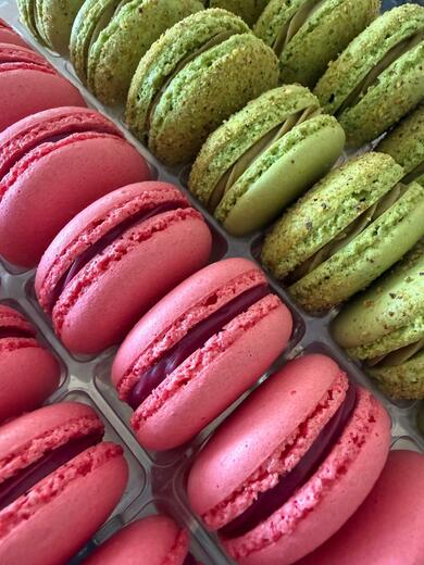 WhatsApp Image 2026-04-30 at 14.30.24.jpeg