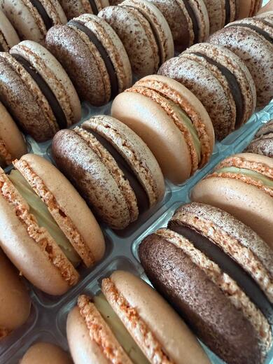 WhatsApp Image 2026-04-30 at 14.30.37.jpeg